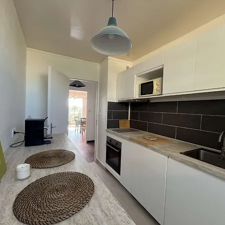 T2 Climatise Avec Terrasse Et Parking Au Lavandou - Fr-1-308-211 *