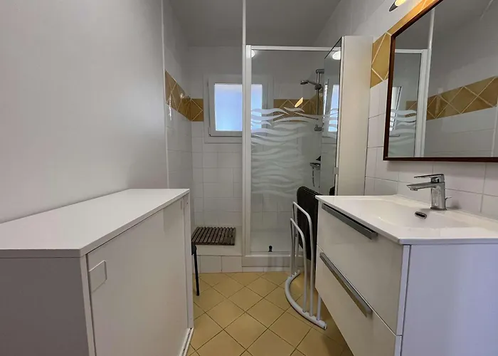 T2 Climatise Avec Terrasse Et Parking Au Lavandou - Fr-1-308-211 Apartment *